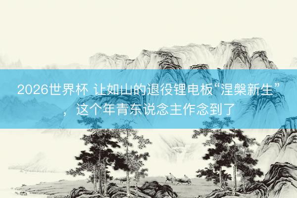 2026世界杯 让如山的退役锂电板“涅槃新生”，这个年青东说念主作念到了