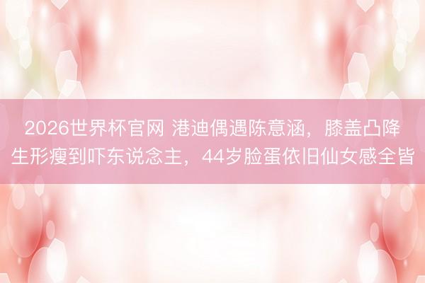 2026世界杯官网 港迪偶遇陈意涵，膝盖凸降生形瘦到吓东说念主，44岁脸蛋依旧仙女感全皆