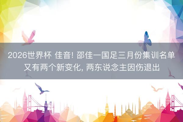 2026世界杯 佳音! 邵佳一国足三月份集训名单又有两个新变化, 两东说念主因伤退出
