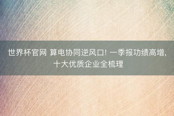 世界杯官网 算电协同逆风口! 一季报功绩高增, 十大优质企业全梳理
